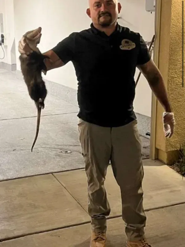A person in work attire and gloves holds a large opossum by its tail while standing in a garage.